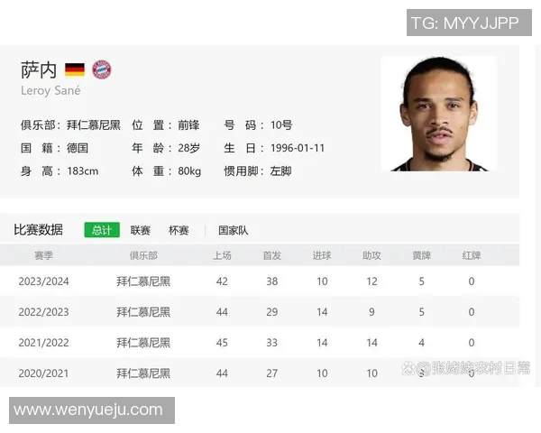 黑人足球球星排名及成就全面解读