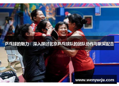 乒乓球的魅力：深入探讨北京乒乓球队的团队协作与默契配合
