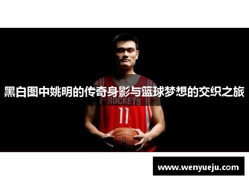 黑白图中姚明的传奇身影与篮球梦想的交织之旅