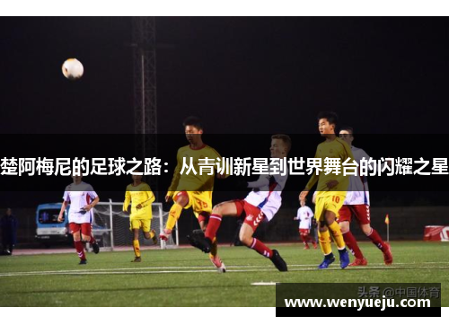楚阿梅尼的足球之路：从青训新星到世界舞台的闪耀之星
